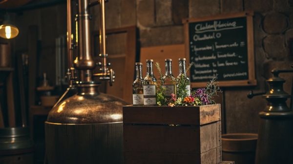 Les 7 étapes clés pour exceller en distillation artisanale